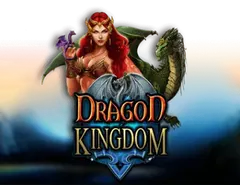 Dragon Kingdom - Zakłady sportowe